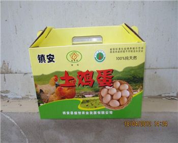 鎮安土雞店(dian)彩印包裝紙箱