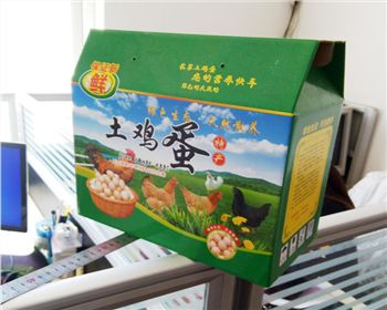 新疆(jiāng)雞蛋紙(zhǐ)箱